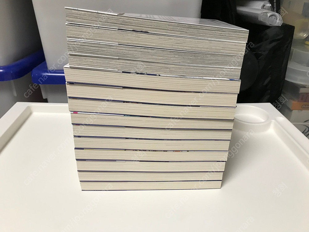 라노벨 라이트 노벨 만화책 코믹스 돼지 공작으로 전생했으니까 이번엔 너에게 좋아한다고 말하고 싶어 올초판 초판 이미지