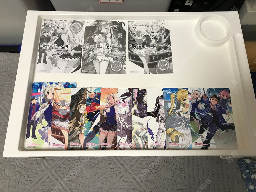 라노벨 라이트 노벨 만화책 코믹스 돼지 공작으로 전생했으니까 이번엔 너에게 좋아한다고 말하고 싶어 올초판 초판 이미지