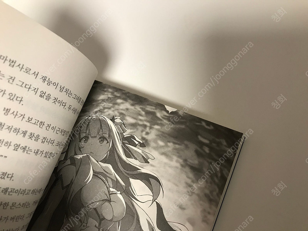 라노벨 라이트 노벨 만화책 코믹스 돼지 공작으로 전생했으니까 이번엔 너에게 좋아한다고 말하고 싶어 올초판 초판 이미지