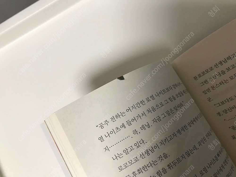 라노벨 라이트 노벨 만화책 코믹스 돼지 공작으로 전생했으니까 이번엔 너에게 좋아한다고 말하고 싶어 올초판 초판 이미지