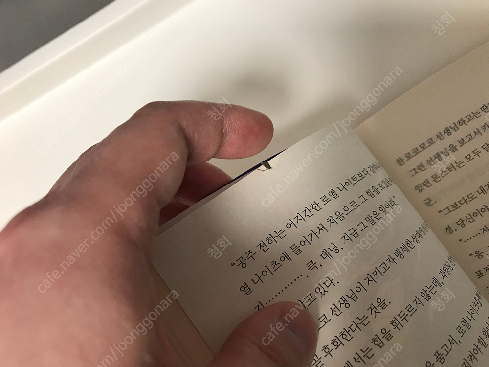 라노벨 라이트 노벨 만화책 코믹스 돼지 공작으로 전생했으니까 이번엔 너에게 좋아한다고 말하고 싶어 올초판 초판 이미지