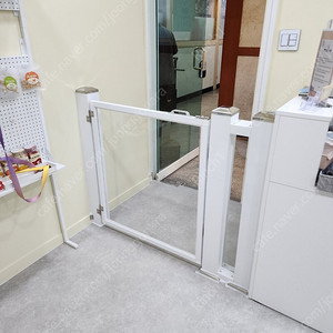 강아지 현관 안전문 펜스 이미지