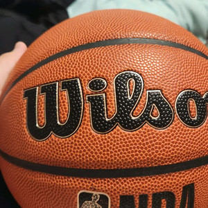 윌슨 nba공식 농구공 이미지