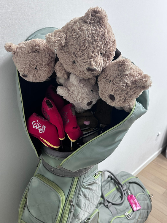 루즈벨트테디베어 503, 여성용 골프채 풀세트 이미지