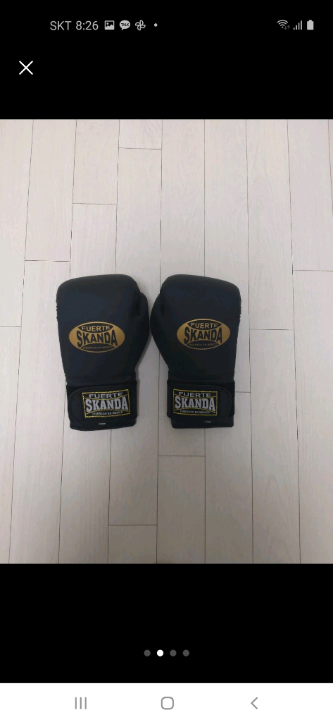 킥복싱 무에타이 글러브 14oz 이미지