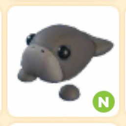 입양하세요 네온 듀공 펫 이미지