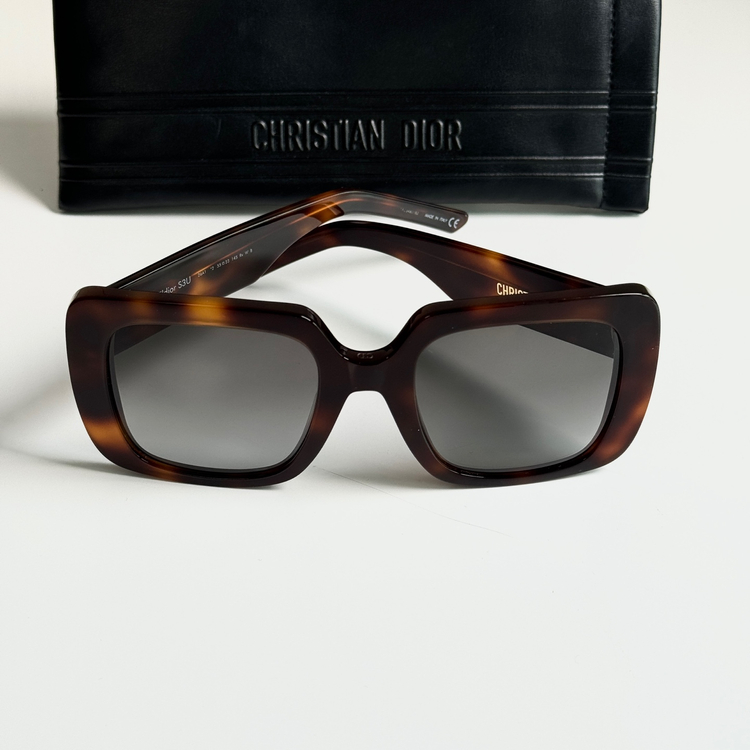 디올 Wildior S3U 선글라스 이미지