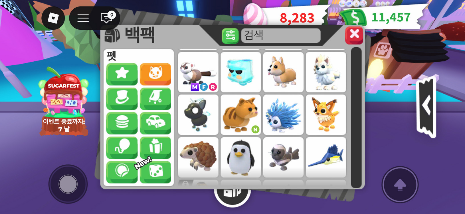 입양하세요 이미지