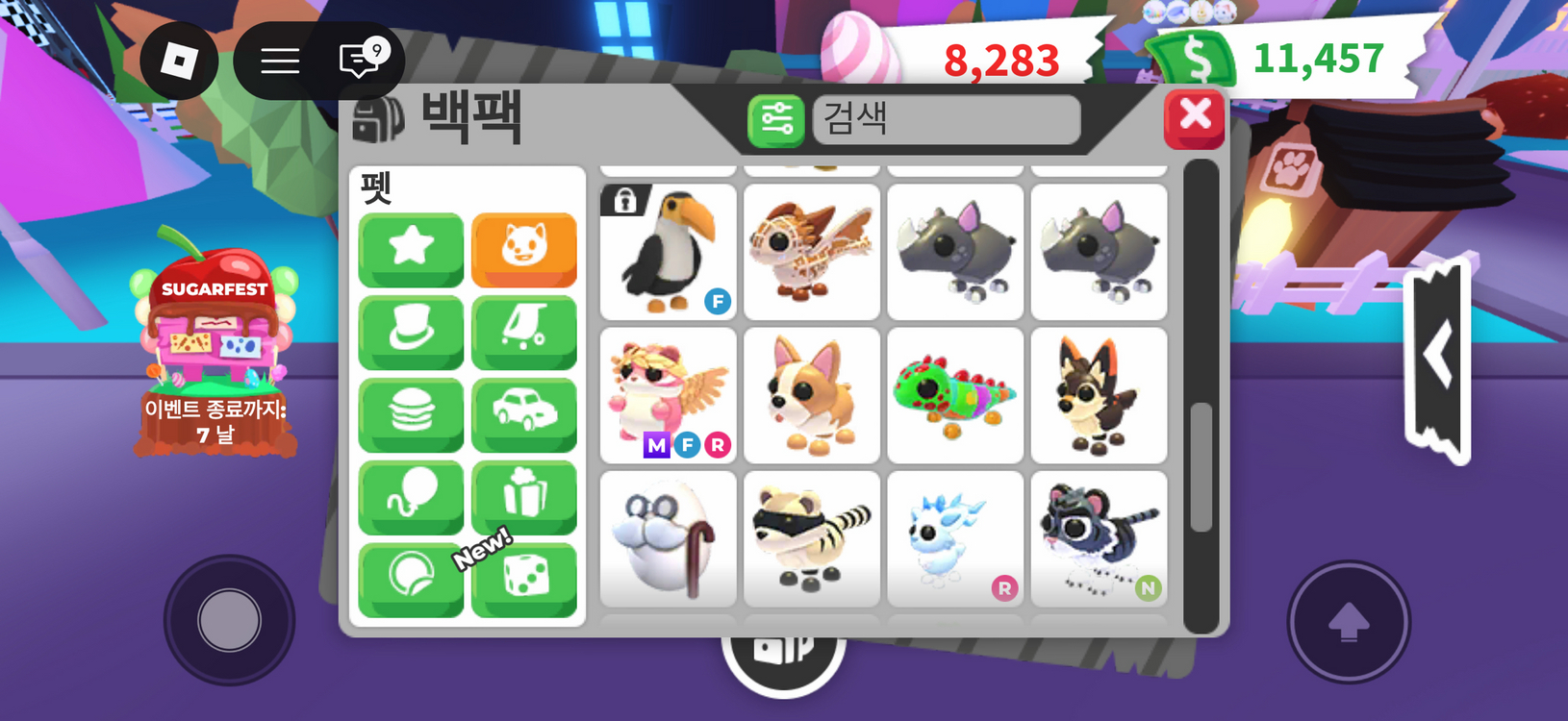 입양하세요 이미지