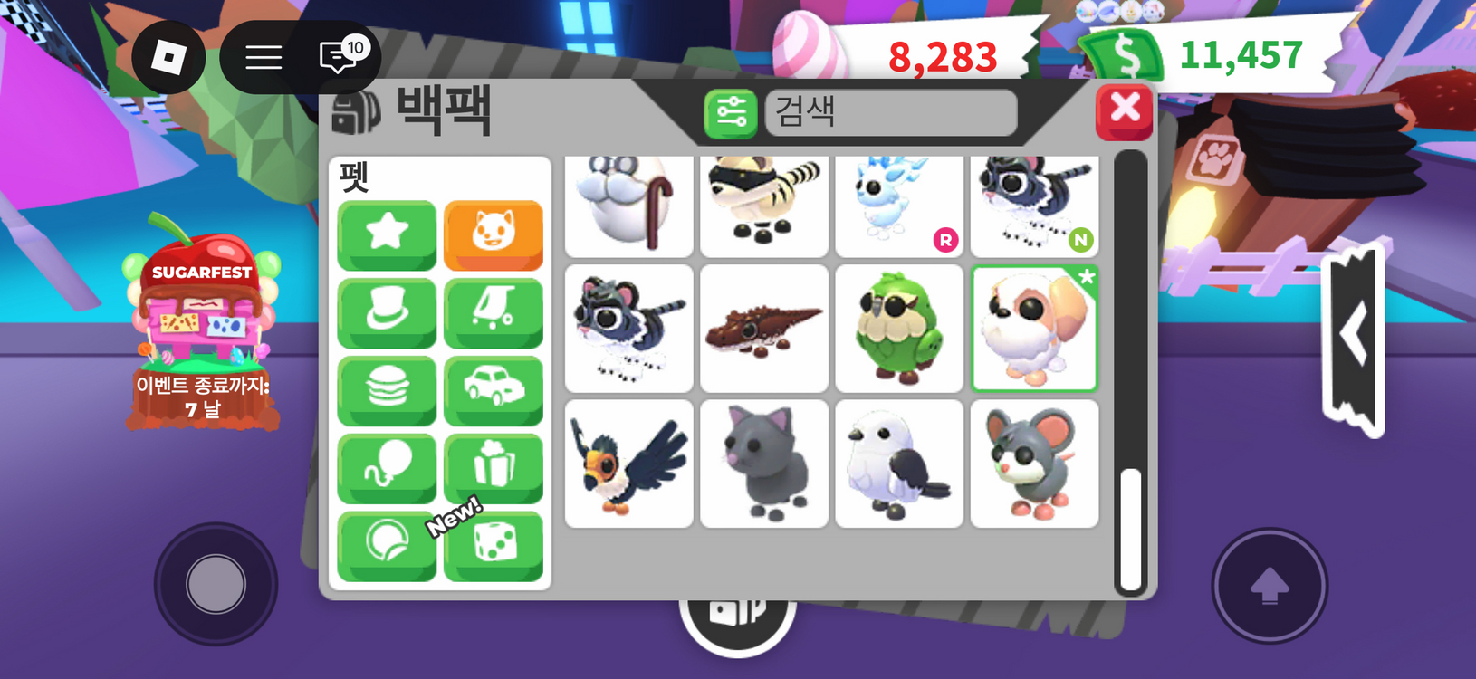 입양하세요 이미지