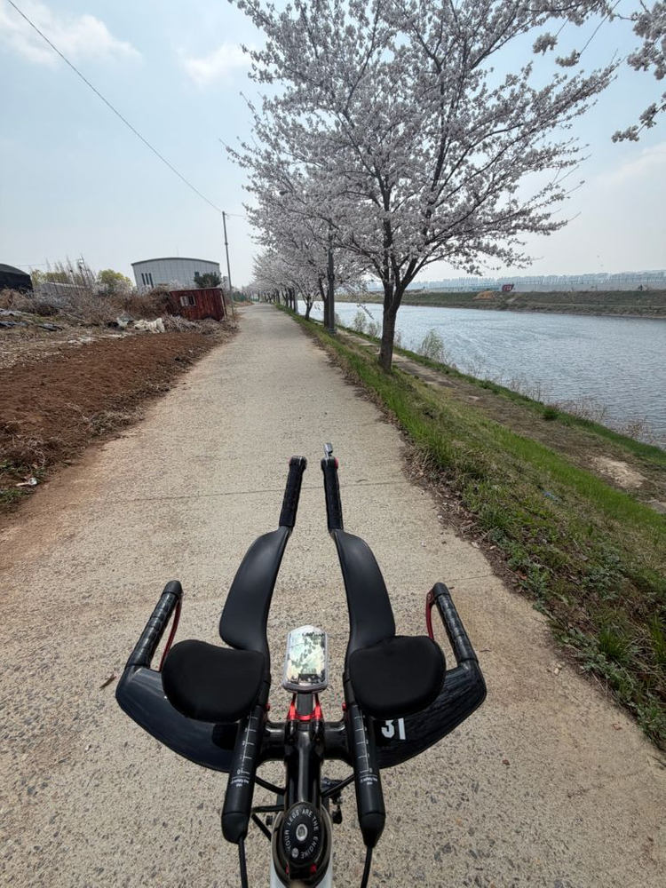 메리다 리엑토 5000 루이코스타 판/대 이미지