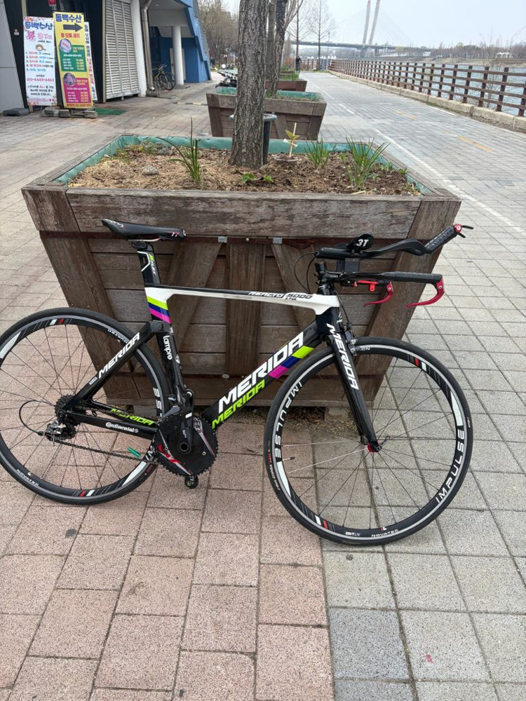 메리다 리엑토 5000 루이코스타 판/대 이미지