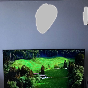 LG 65인치 올레드 TV OLED65E7P 이미지