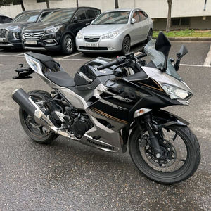 가와사키 닌자400 20년형 abs 판매합니다 이미지