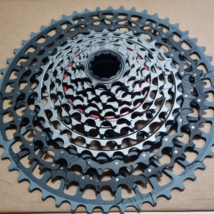 [미사용] SRAM X0 Eagle 트랜스미션 T-Type 스프라켓(XS-1295) 이미지