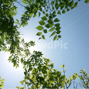 피망 뉴맞고 머니 삽니다 이미지