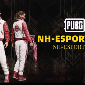 배그 뉴해피 스킨코드 이미지