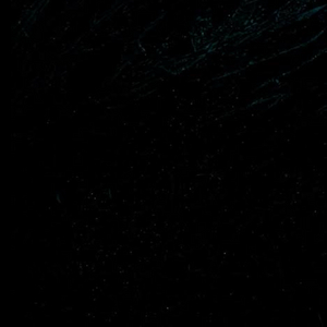 여성 성인 용품 구매해요 이미지