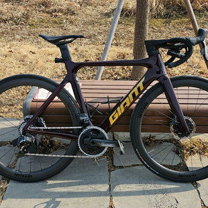 2021년 자이언트 프로펠 sl1 이미지