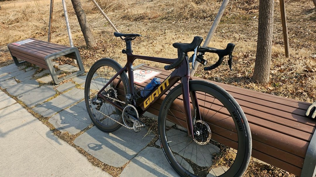 2021년 자이언트 프로펠 sl1 이미지