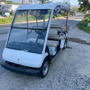 야마하 5인승 화물개조 전동카트 이미지