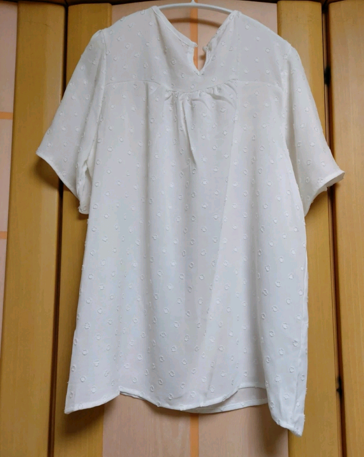 펀칭 레이스 반팔 블라우스 77사이즈 (새상품) 이미지