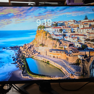 한성 32인치 모니터(액정 세로줄) 이미지