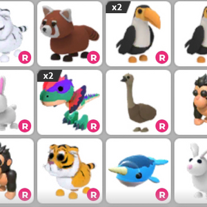 입양하세요 잡능 펫 이미지