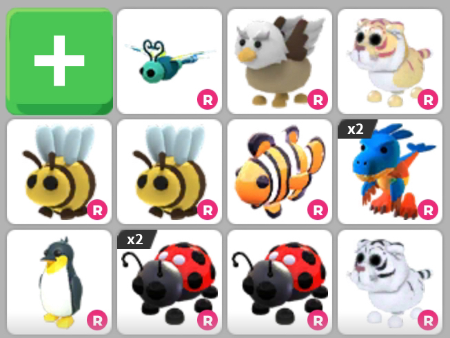 입양하세요 잡능 펫 이미지