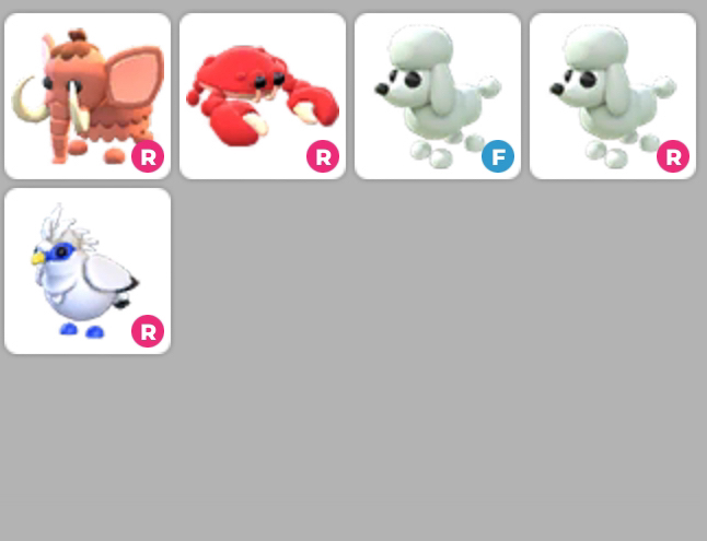 입양하세요 잡능 펫 이미지