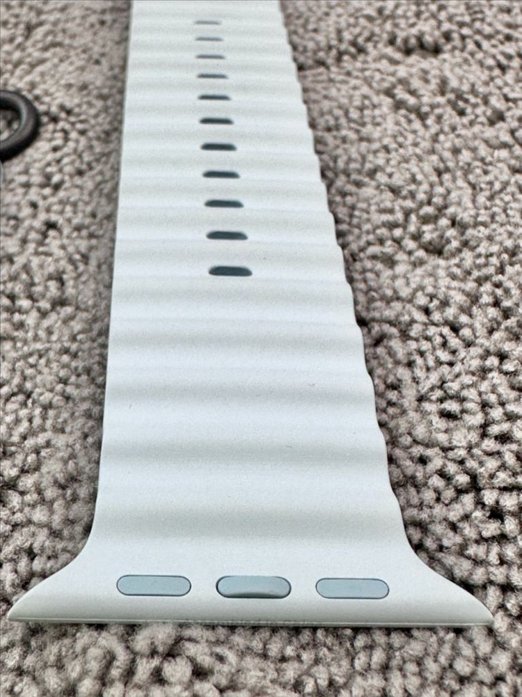 애플워치 아이스블루, 블랙티타늄 오션밴드 이미지