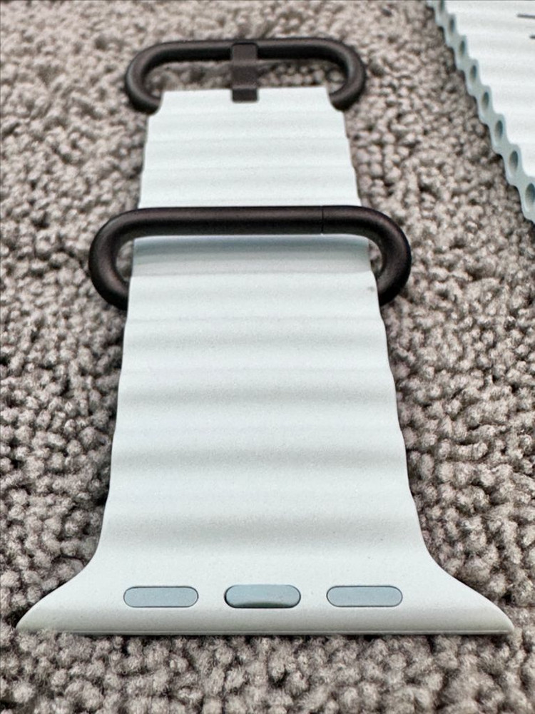 애플워치 아이스블루, 블랙티타늄 오션밴드 이미지