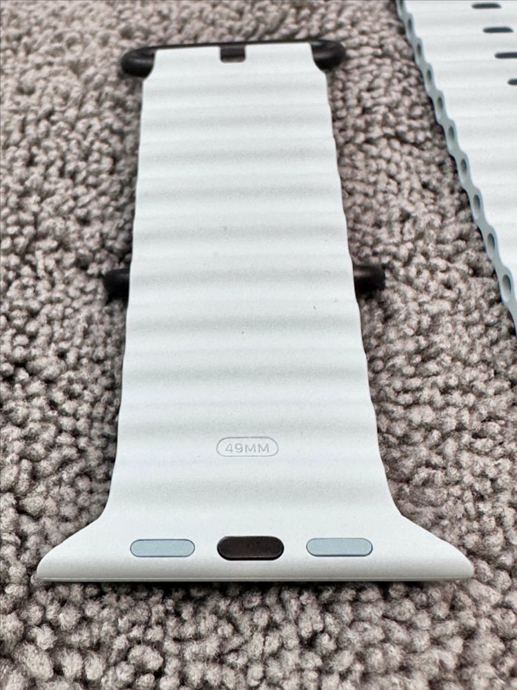 애플워치 아이스블루, 블랙티타늄 오션밴드 이미지