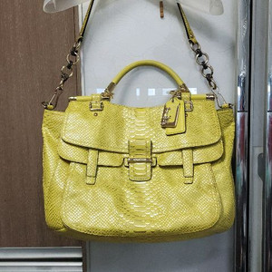 코치 COACH 피너클 파이톤백 라지 닥스 파이톤백 이미지