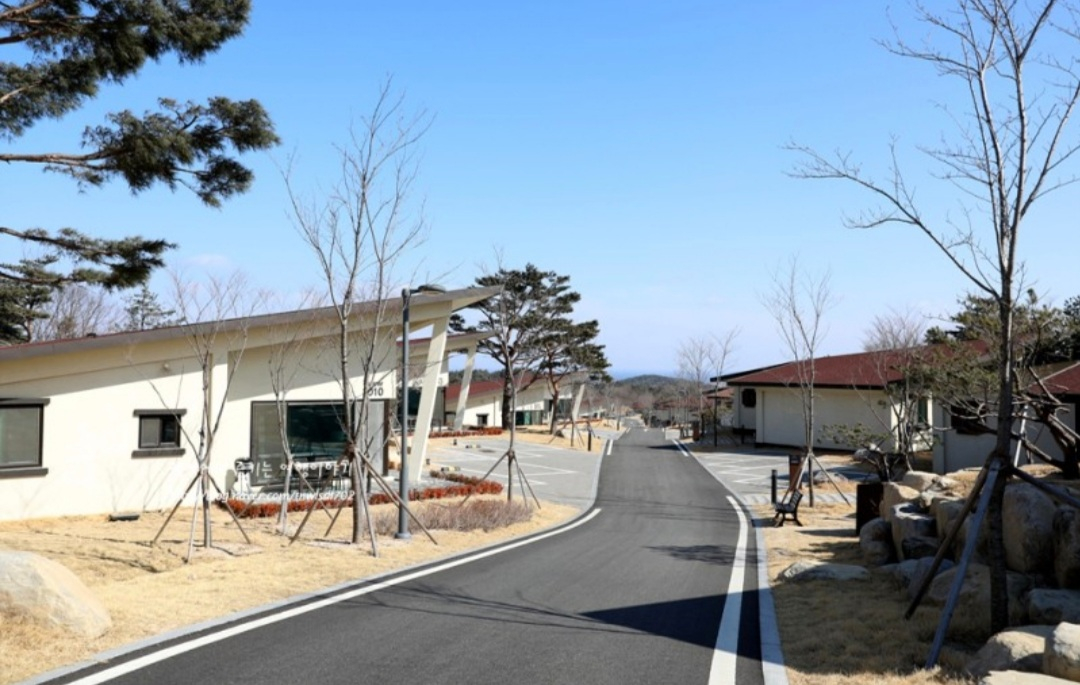 켄싱턴리조트 주말 양도 이미지