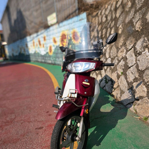 시티베스트 21년식 3.4km 이미지