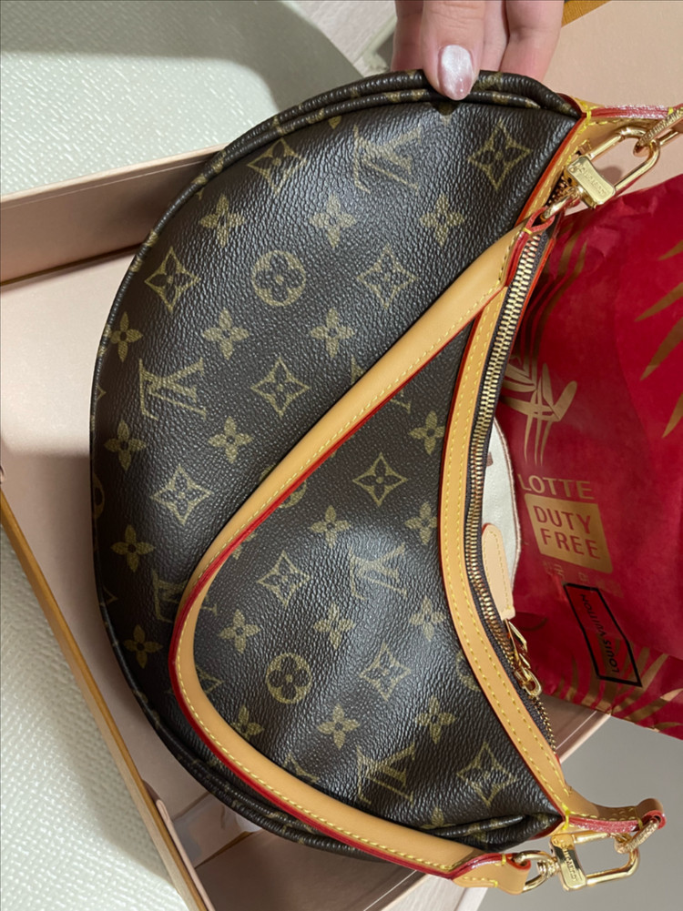 루이비가방 이미지