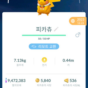 포켓몬고 코스튬 이로치 피카츄 팝니다 이미지