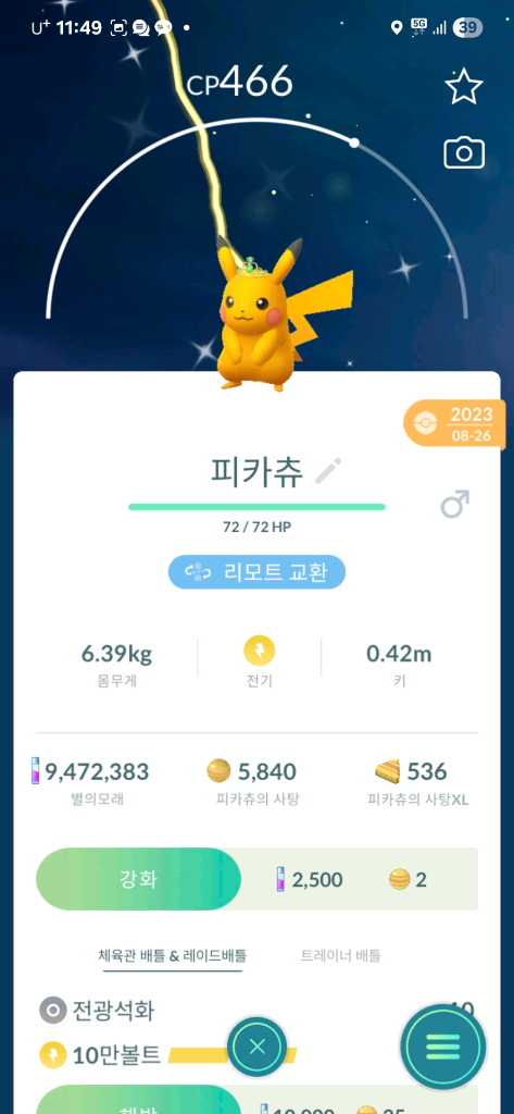 포켓몬고 코스튬 이로치 피카츄 팝니다 이미지