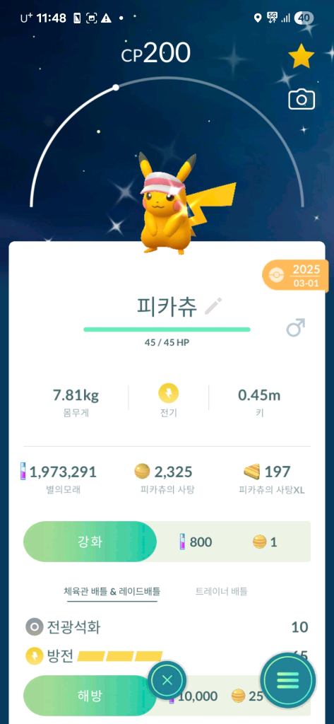 포켓몬고 코스튬 이로치 피카츄 팝니다 이미지