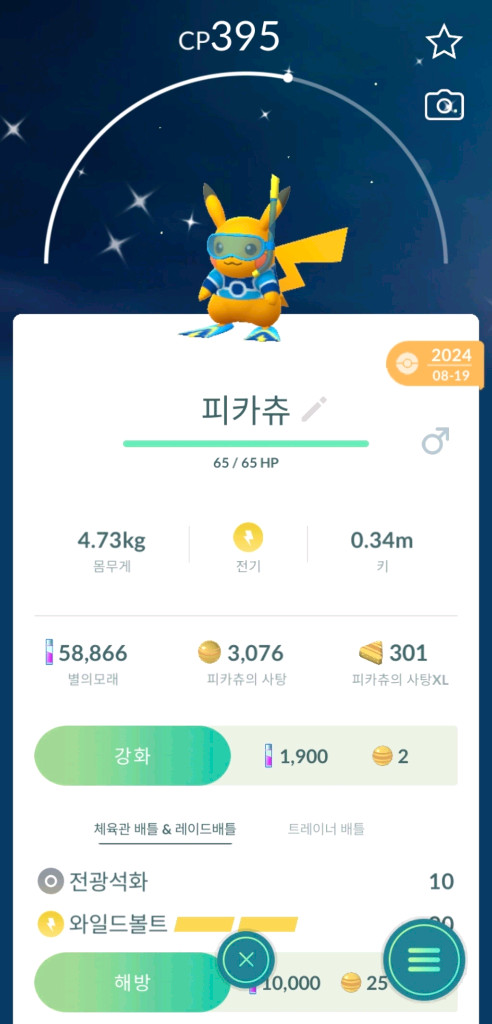 포켓몬고 코스튬 이로치 피카츄 팝니다 이미지