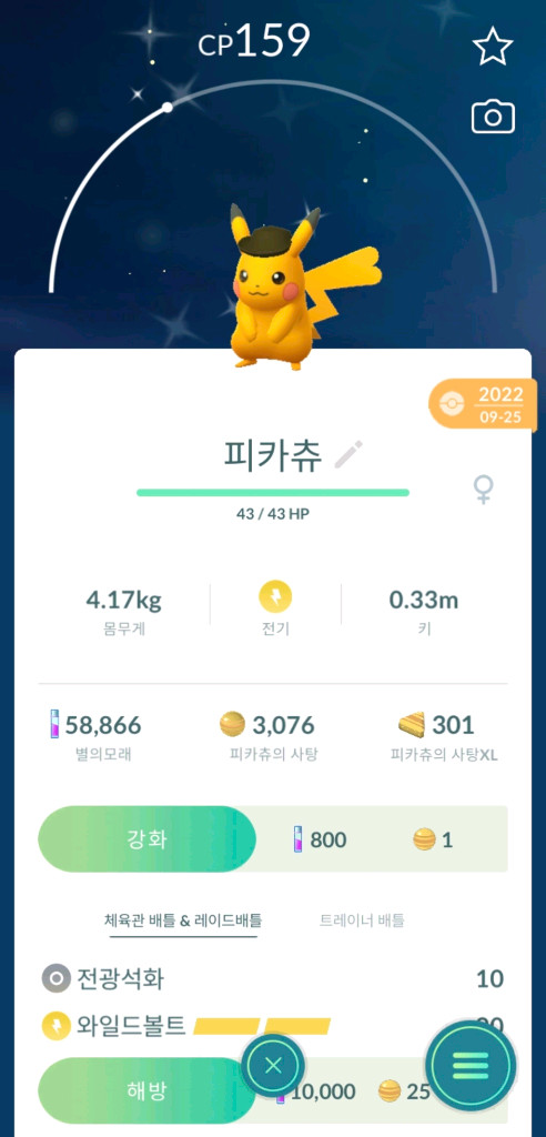 포켓몬고 코스튬 이로치 피카츄 팝니다 이미지