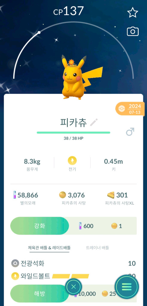 포켓몬고 코스튬 이로치 피카츄 팝니다 이미지