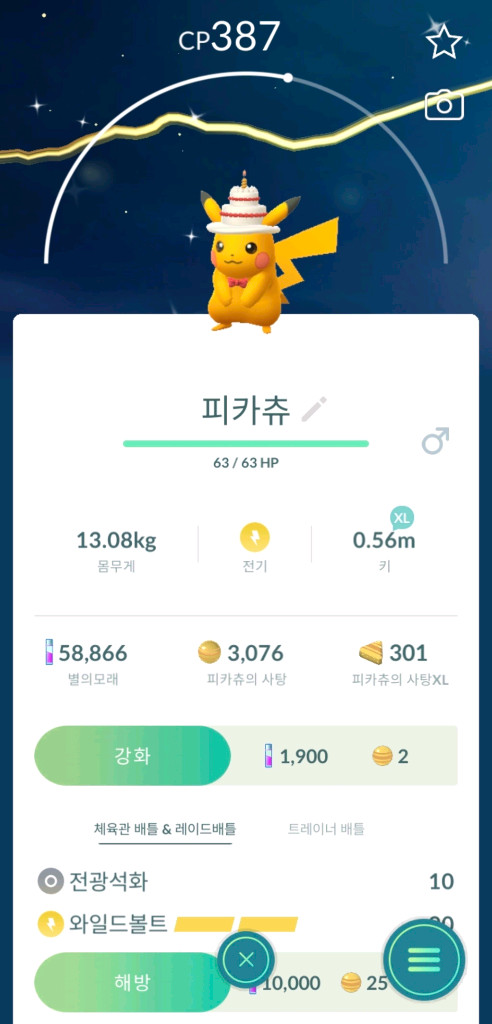 포켓몬고 코스튬 이로치 피카츄 팝니다 이미지