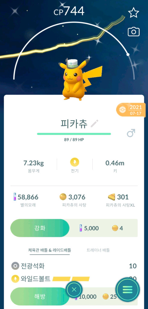 포켓몬고 코스튬 이로치 피카츄 팝니다 이미지