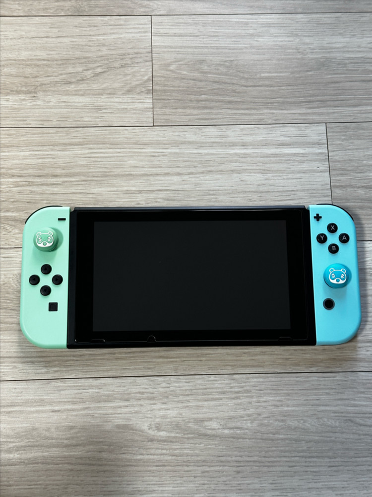 닌텐도 스위치 동물의 숲 에디션 이미지