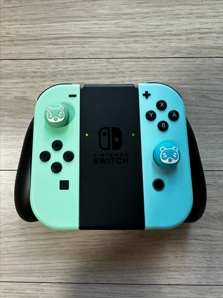 닌텐도 스위치 동물의 숲 에디션 이미지