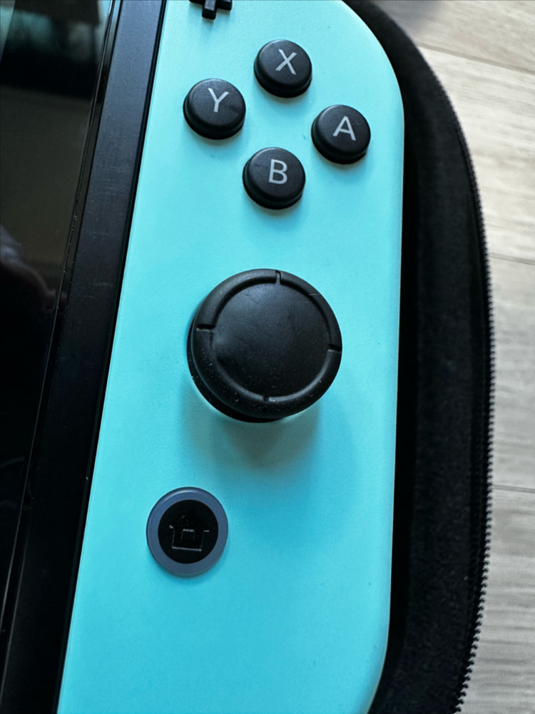 닌텐도 스위치 동물의 숲 에디션 이미지