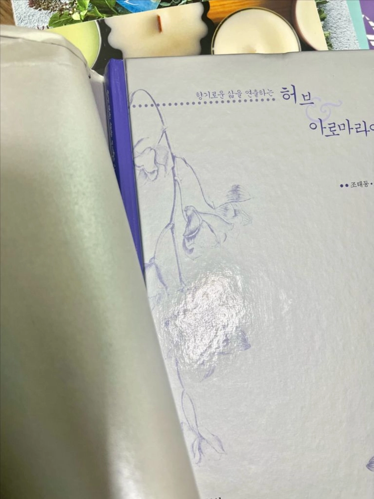 비누만들기& 천연DIY 책 이미지