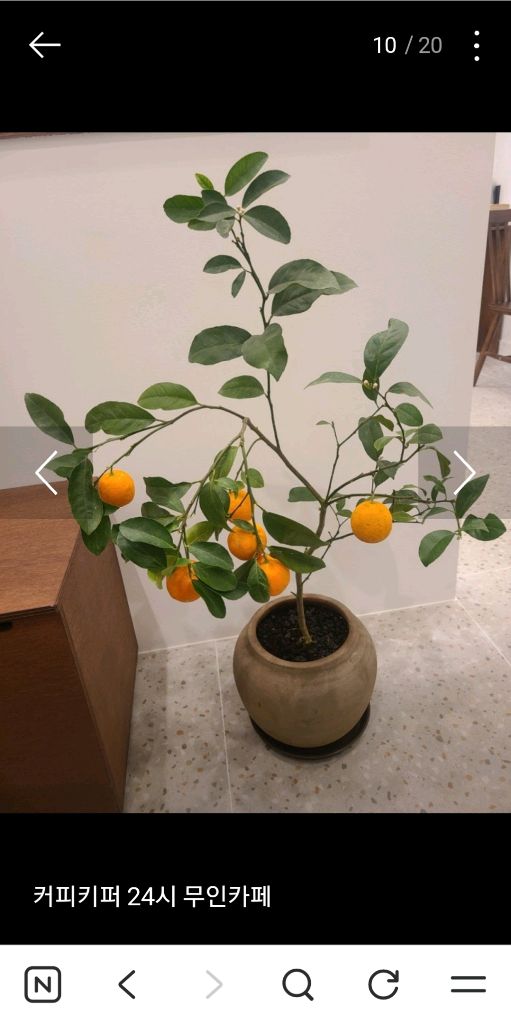 무인카페 팝니다 (동구전자 티타임C20) 이미지